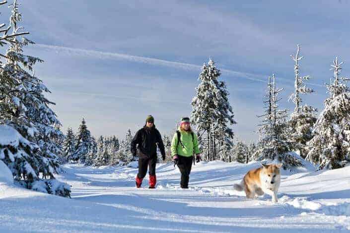 couple hiking with their dog