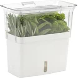Practical Gifts for Men - Fresh Herb Keeper
