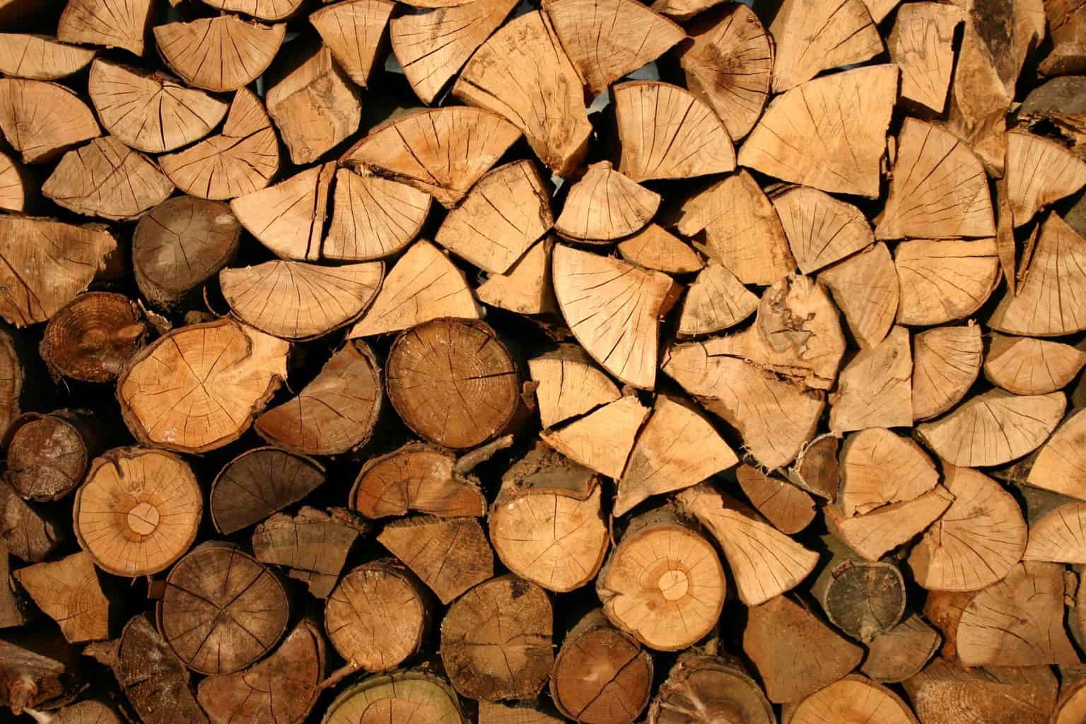 6 Creative but interesting hobbies - Wood Burning