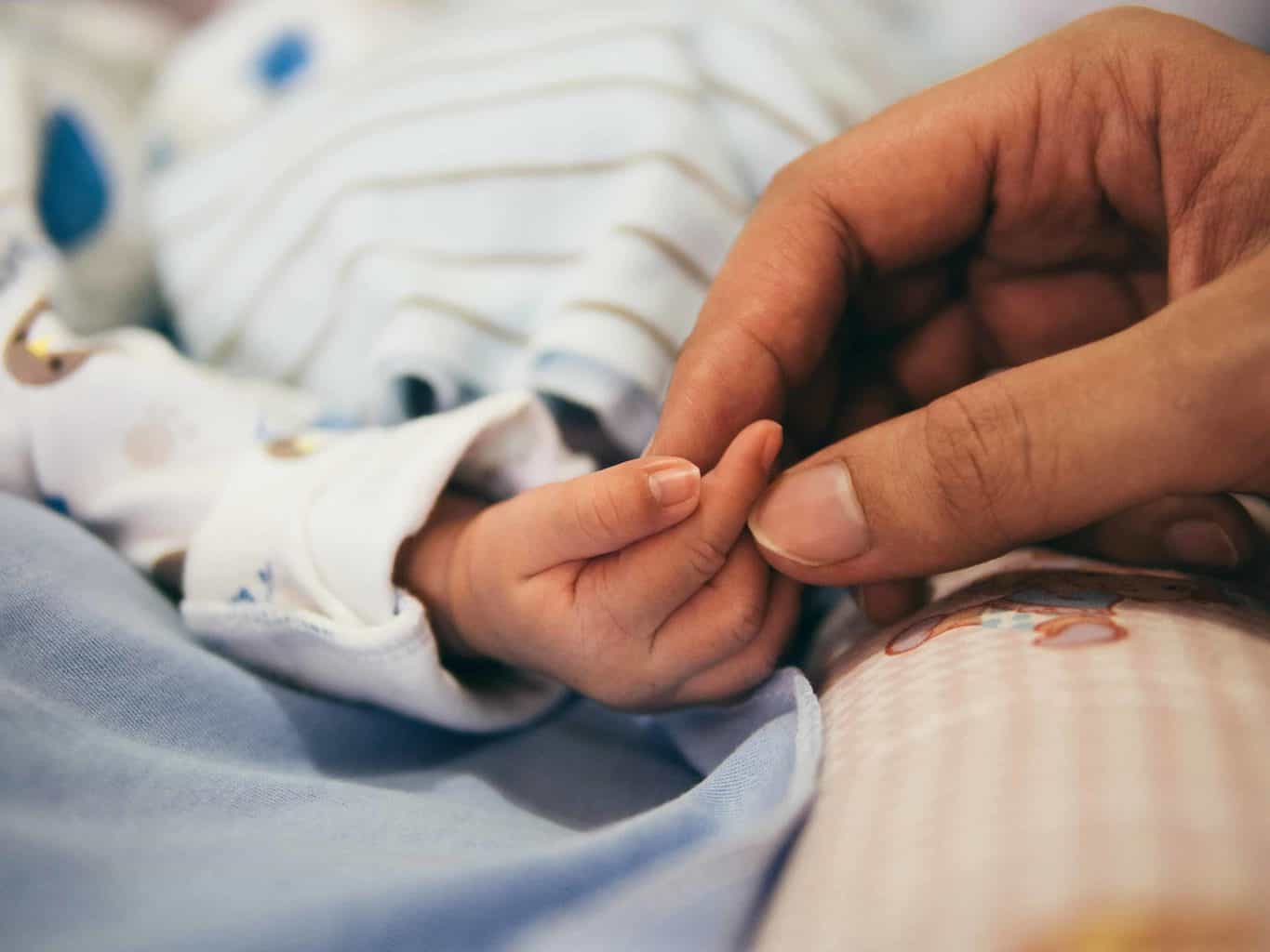 Adorable baby's hand touched by an adult's fingers.