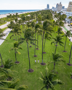 Miami Beach