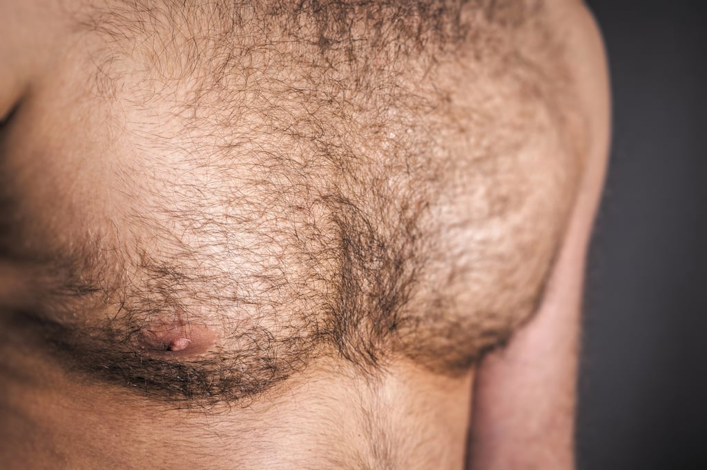 Close up of full and natural hairy chest.