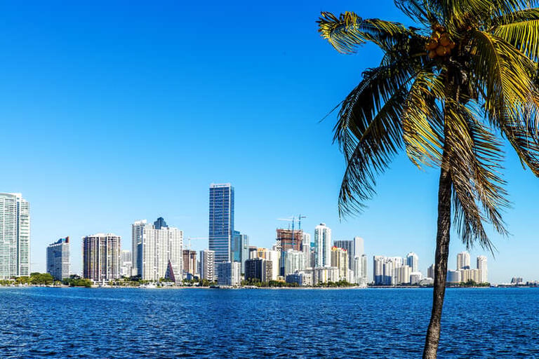 Exploring Miami Without The Burden Of Bags: A Practical Travel Guide For Men