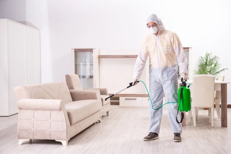 Pest-Proof Your Apartment Without Harsh Sprays