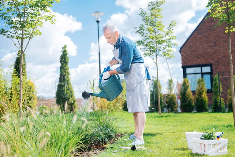 Homeowner irrigation of garden vegetation during spring house repairs to increase the curb-side appearance.