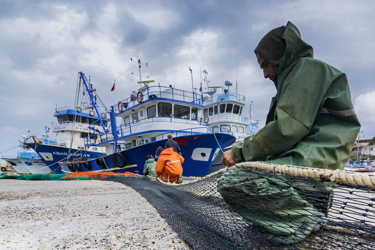 The Changing Tides Of Commercial Fishing: How An Ancient Industry Became A Global One