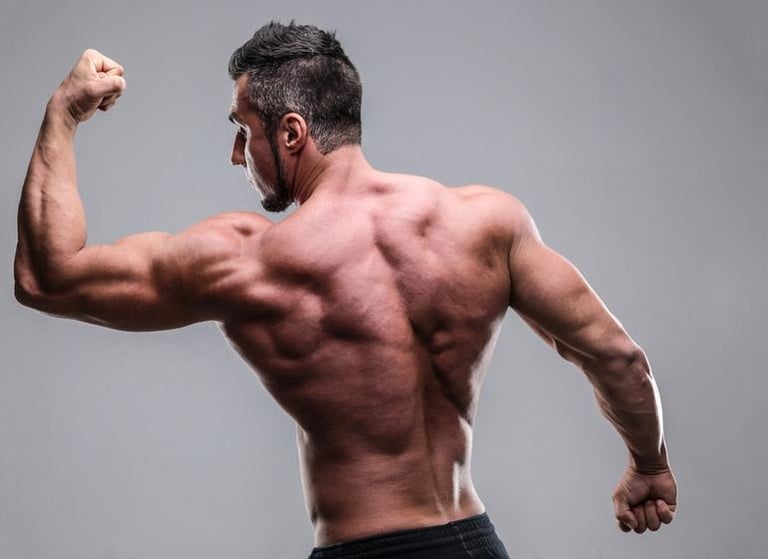 The Right Bodybuilder Split Starts with Your Hormonal Profile
