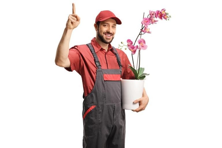 What Should You Send When Flowers Feel Too Predictable?