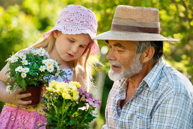 Bloom Themes for Kids, Teens, Grandparents