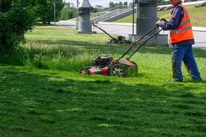A person in a safety vest cutting down grass in a green lawn.