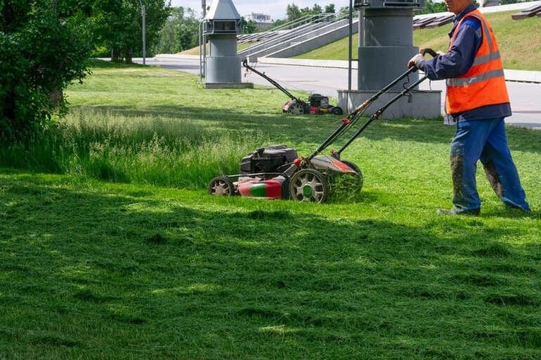 Fall Overseeding Guide: Thickening a Thin Lawn Before Winter