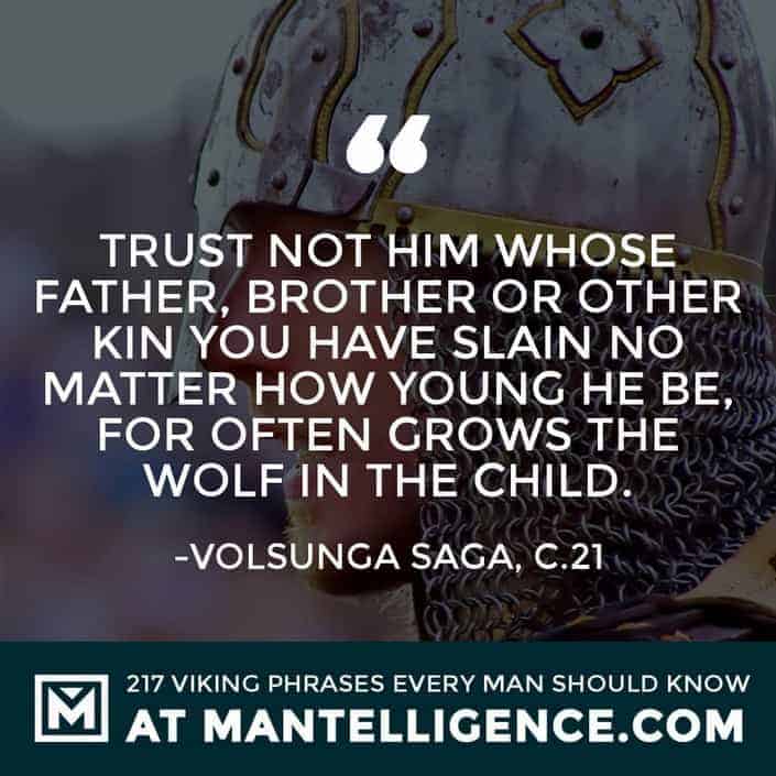 Viking Quotes - Trust not him whose father, brother or other kin you have slain no matter how young he be, for often grows the wolf in the child.