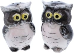 Ceramic Owl Salt and Pepper Shaker (1)