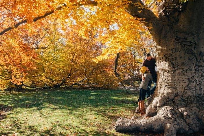 romantic ways to propose - Carve it into a Tree