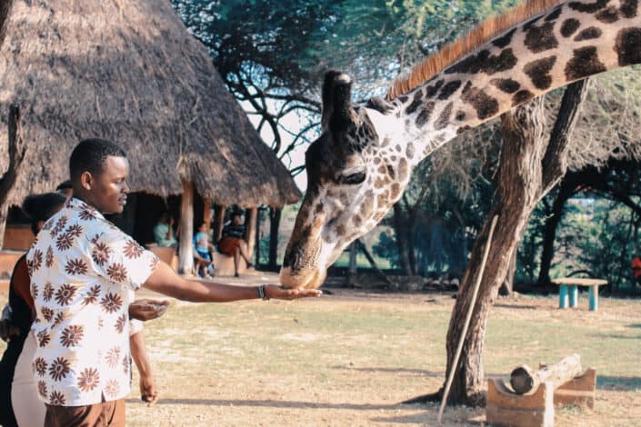 Do an animal encounter at a zoo.jpg