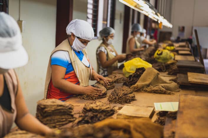 women working in a factory