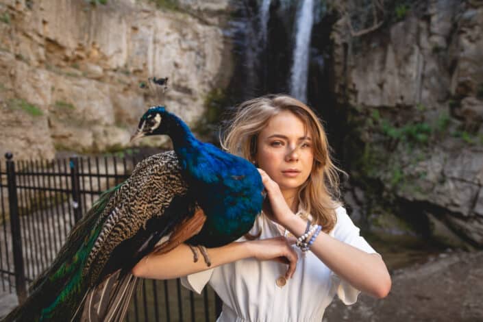 peacock on a shoulder of a woman